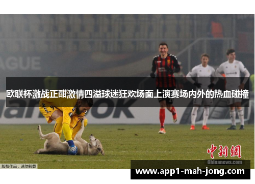 欧联杯激战正酣激情四溢球迷狂欢场面上演赛场内外的热血碰撞